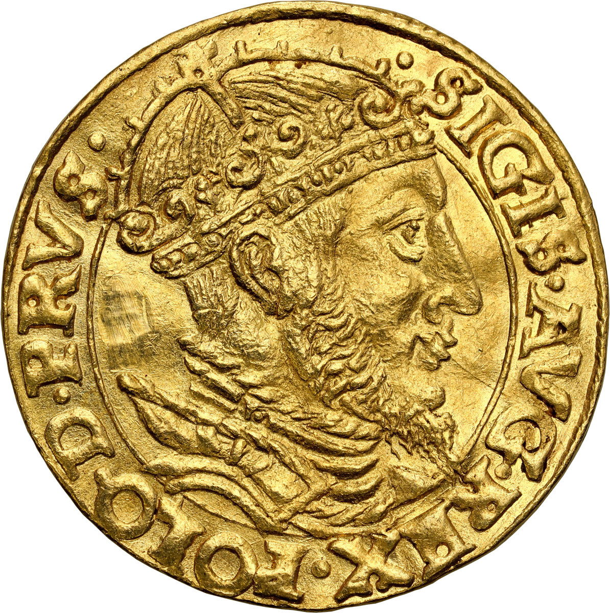 Zygmunt II August. Dukat 1556, Gdańsk ex. Styka - RZADKOŚĆ